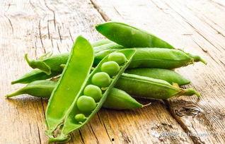 豌豆在线视频免费观看,畅享免费视频盛宴，轻松观影新体验